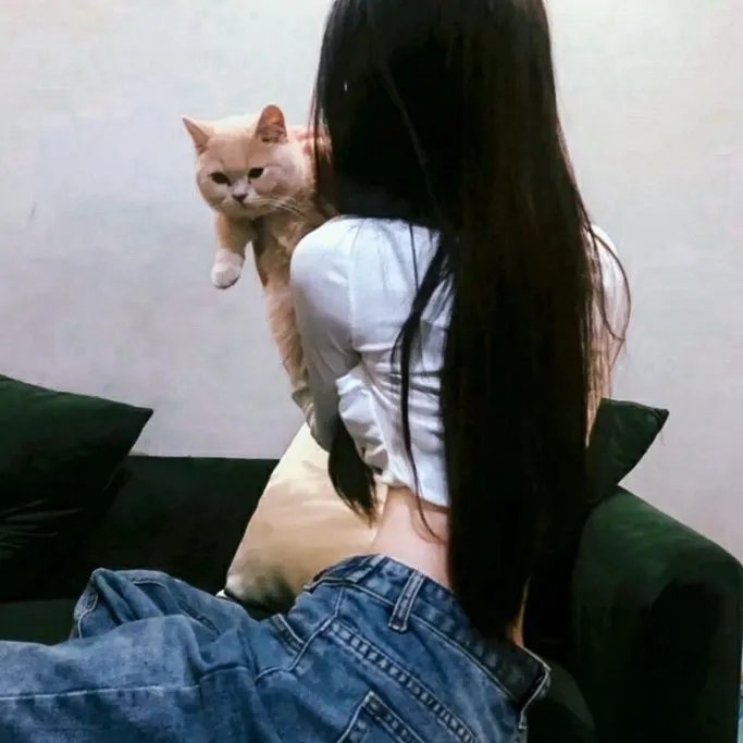 内德的步枪