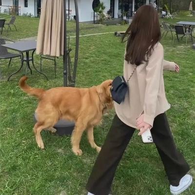 美女总裁的贴身特工